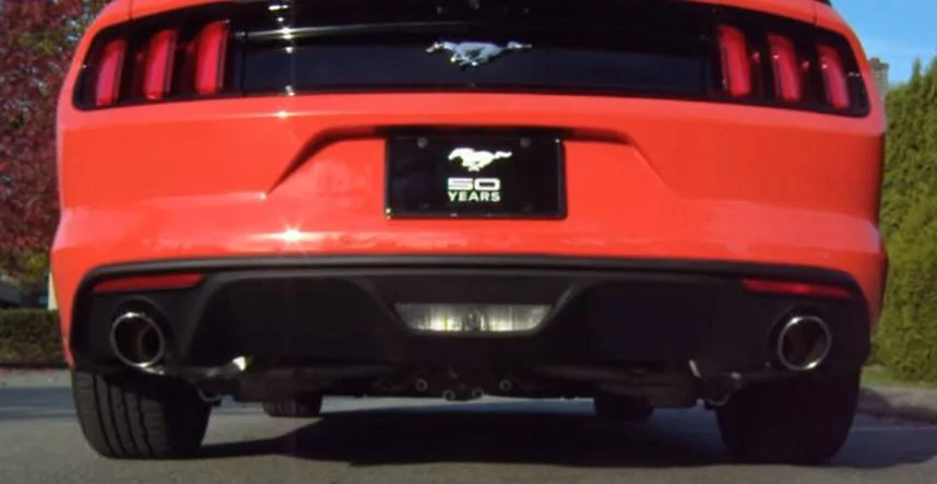 mustang painted.webp