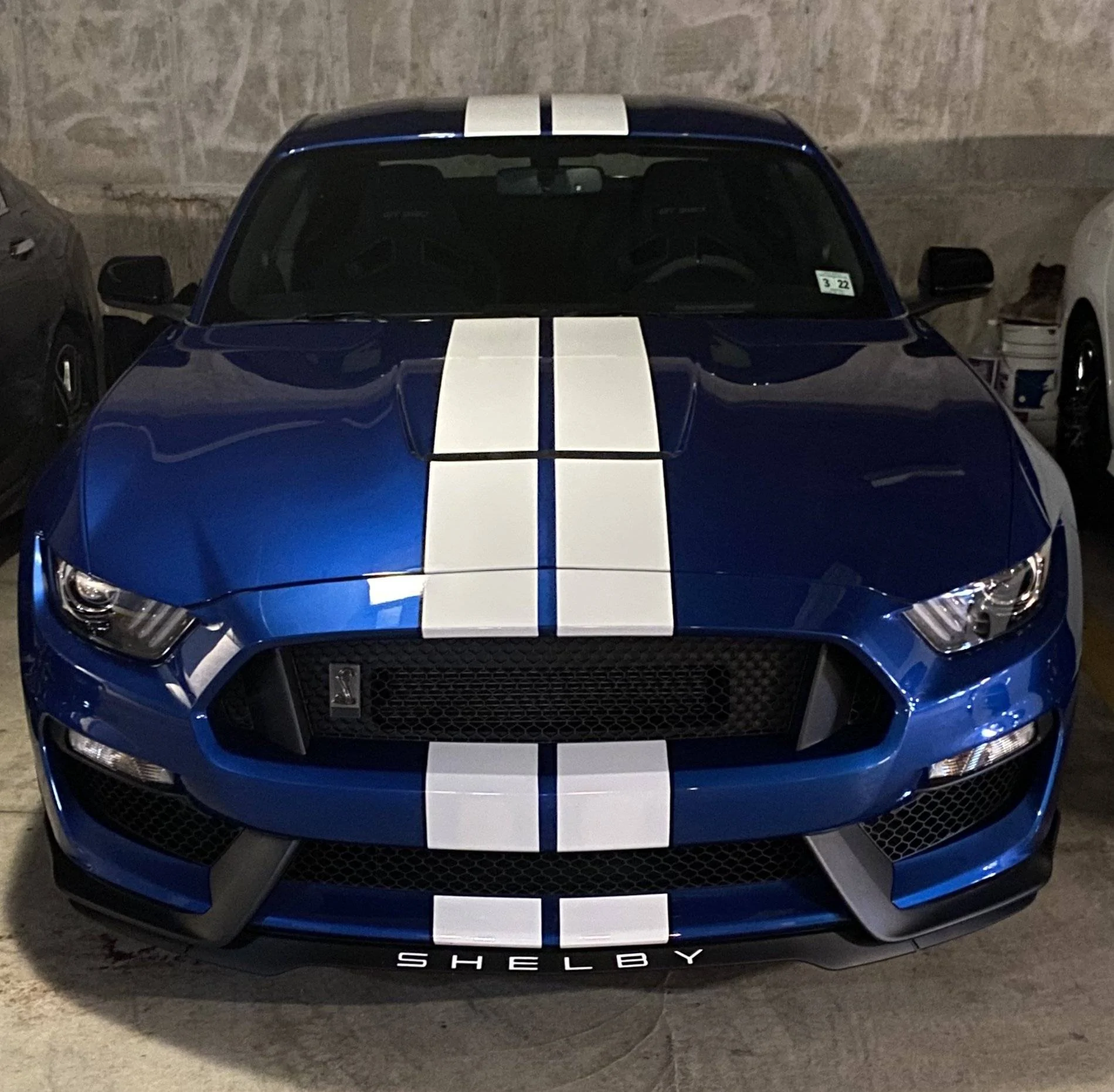 shelby letters.webp