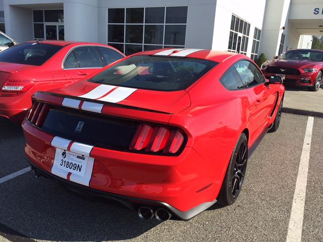 gt350_3.jpg