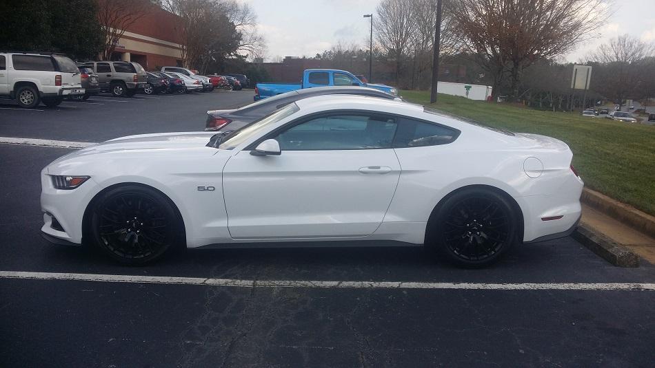 STANG11.jpg