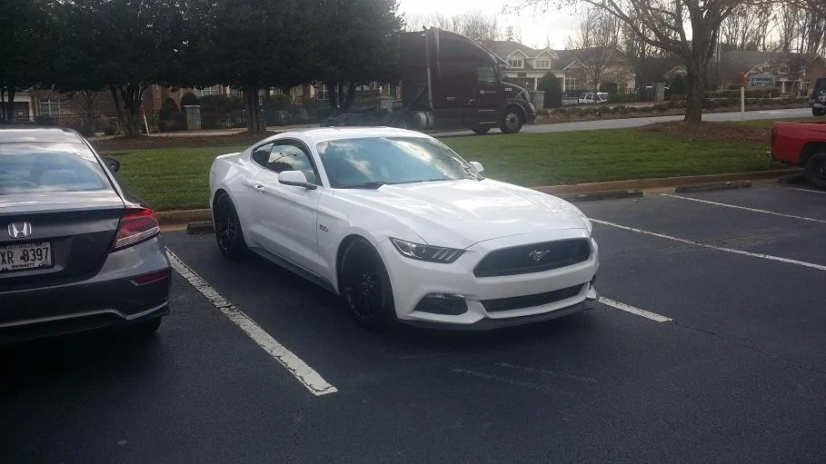 STANG22.webp