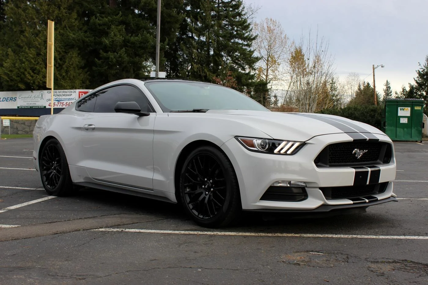FBReadyMustang2.webp