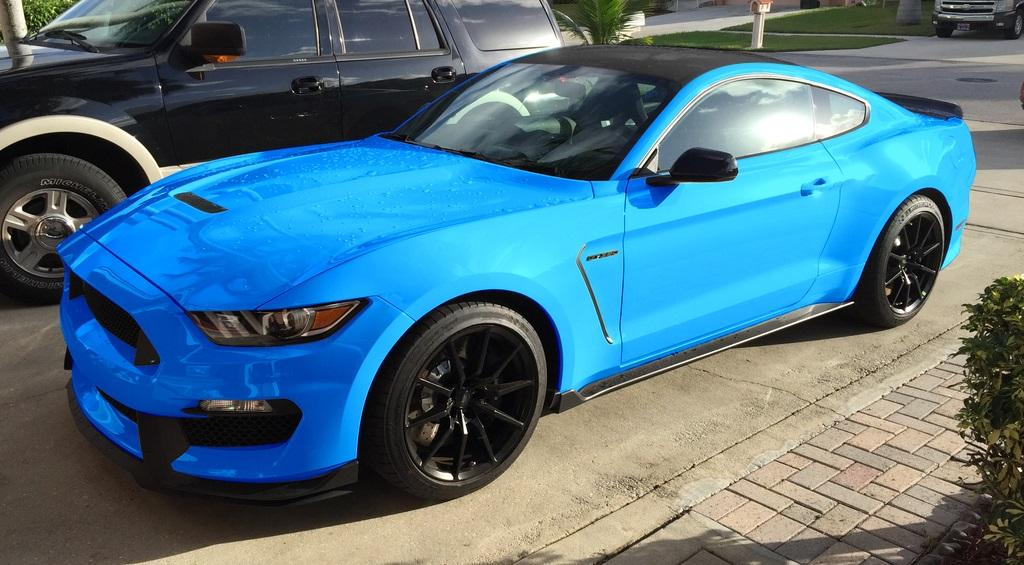 babyblue1.jpg