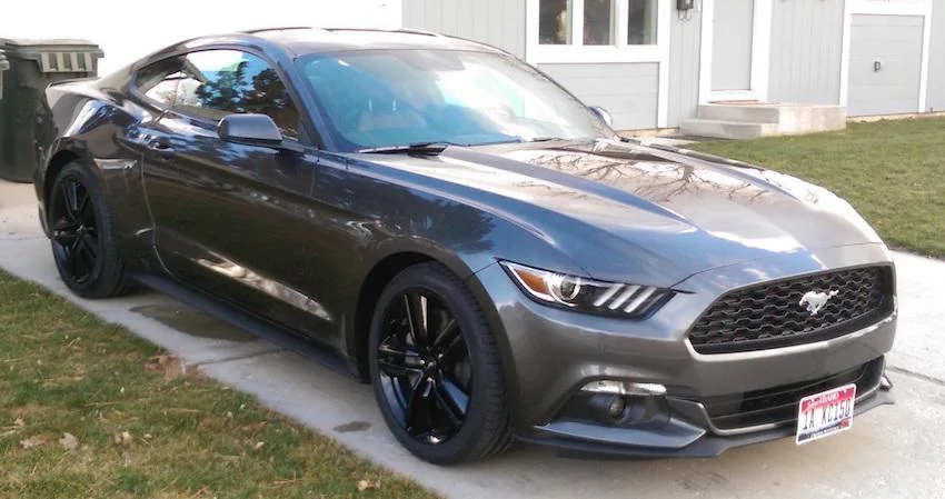 2015_Mustang24 copy.webp