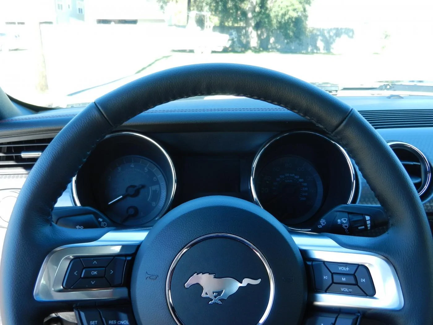 DSCN0390.webp