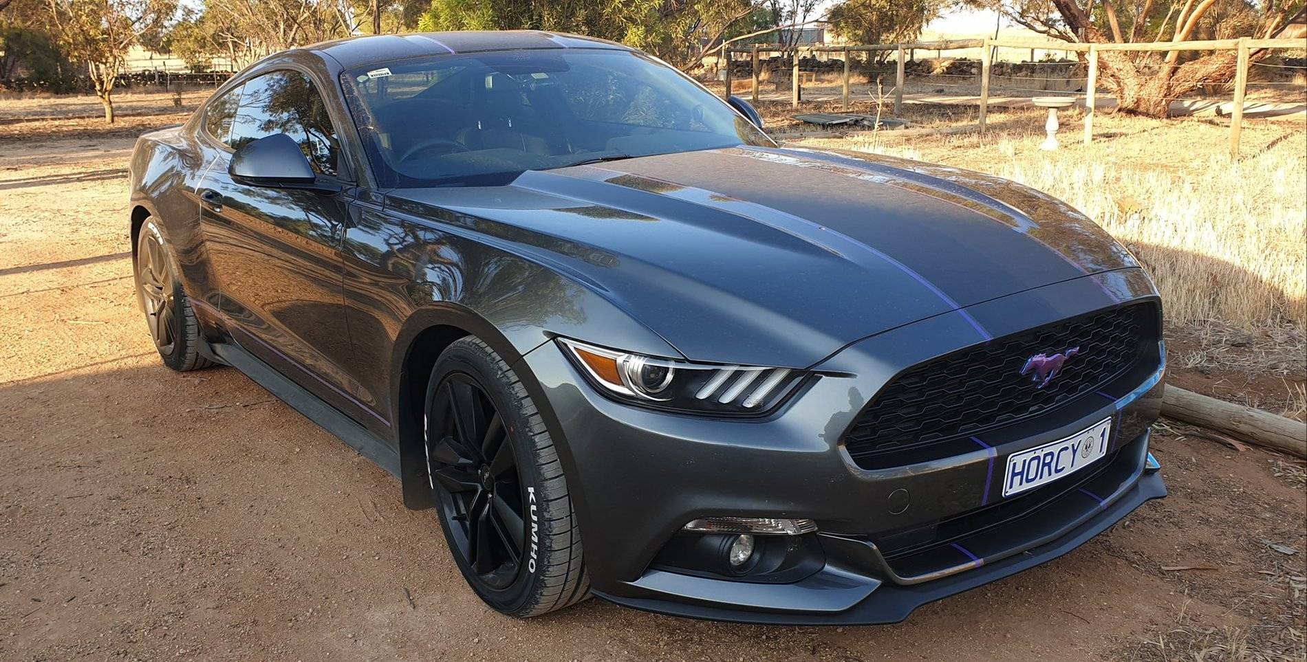 Mustang.jpg