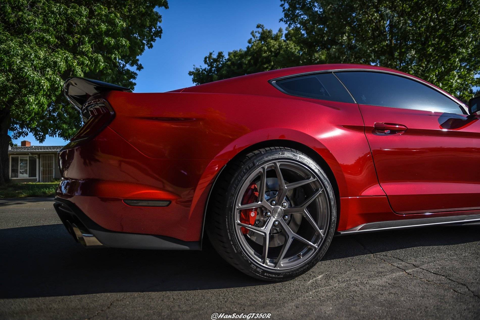 SV107 GT500 Brushed Titanium & Rapid Red (6 of 16).JPG
