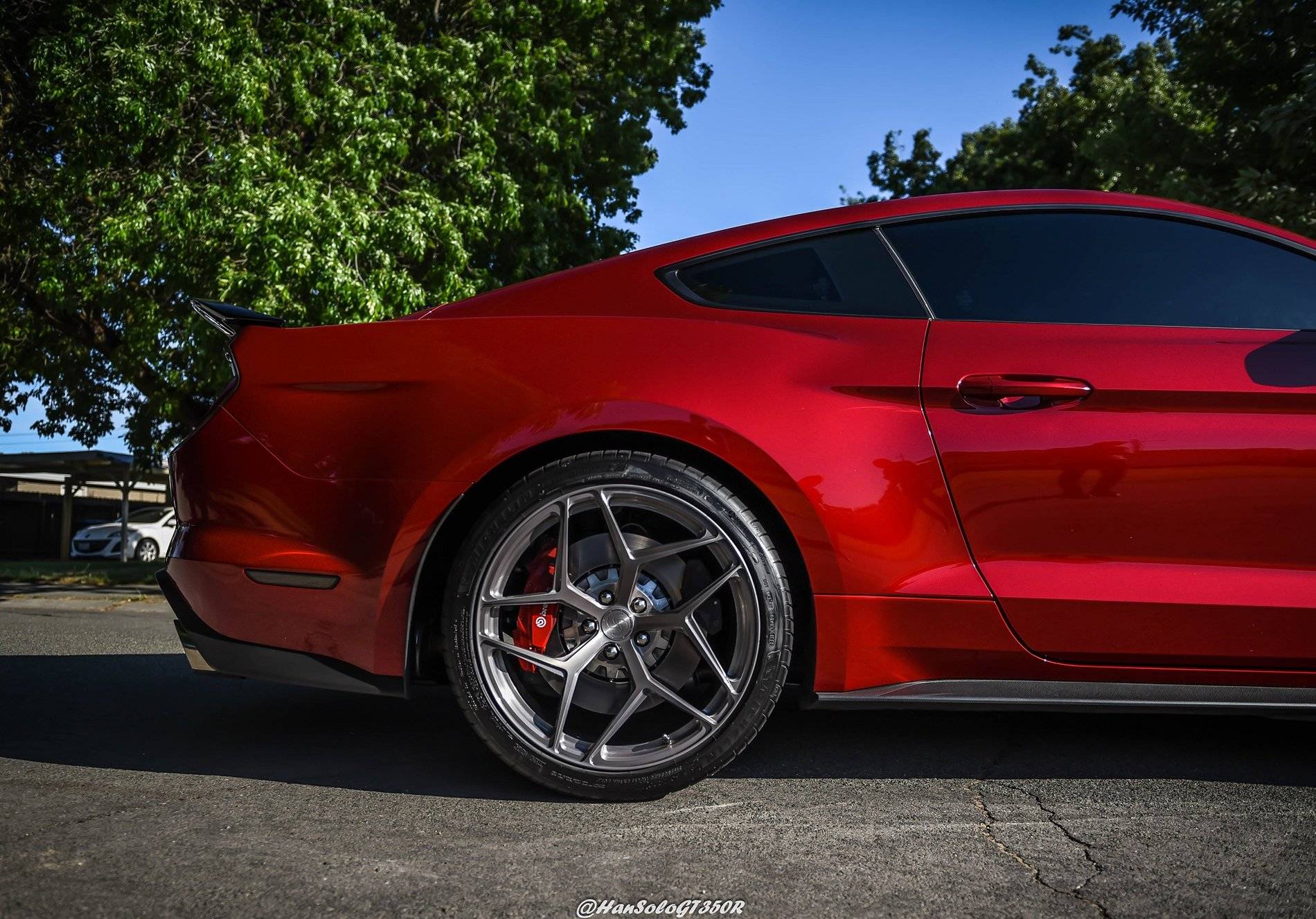 SV107 GT500 Brushed Titanium & Rapid Red (7 of 16).JPG