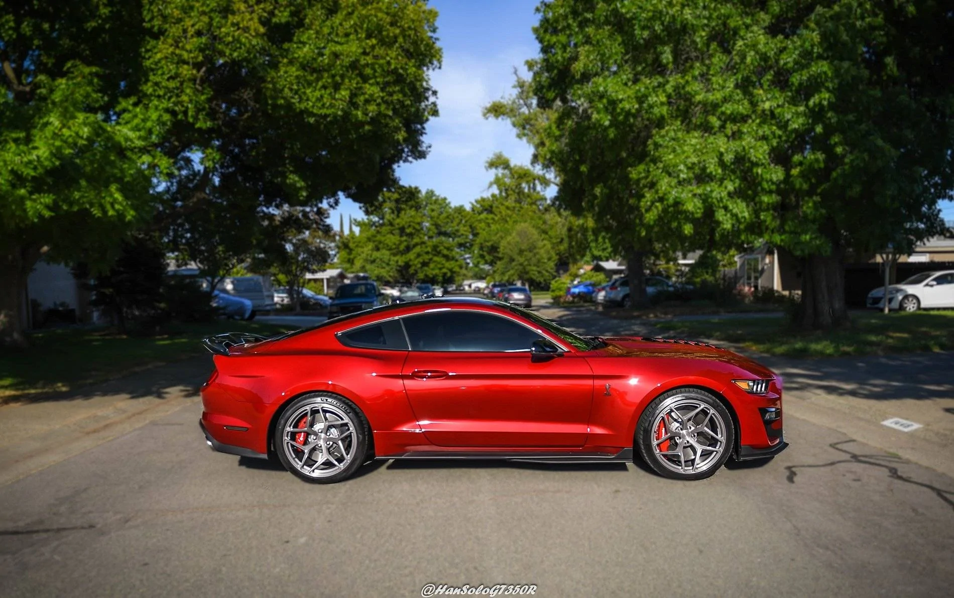 SV107 GT500 Brushed Titanium & Rapid Red (9 of 16).webp
