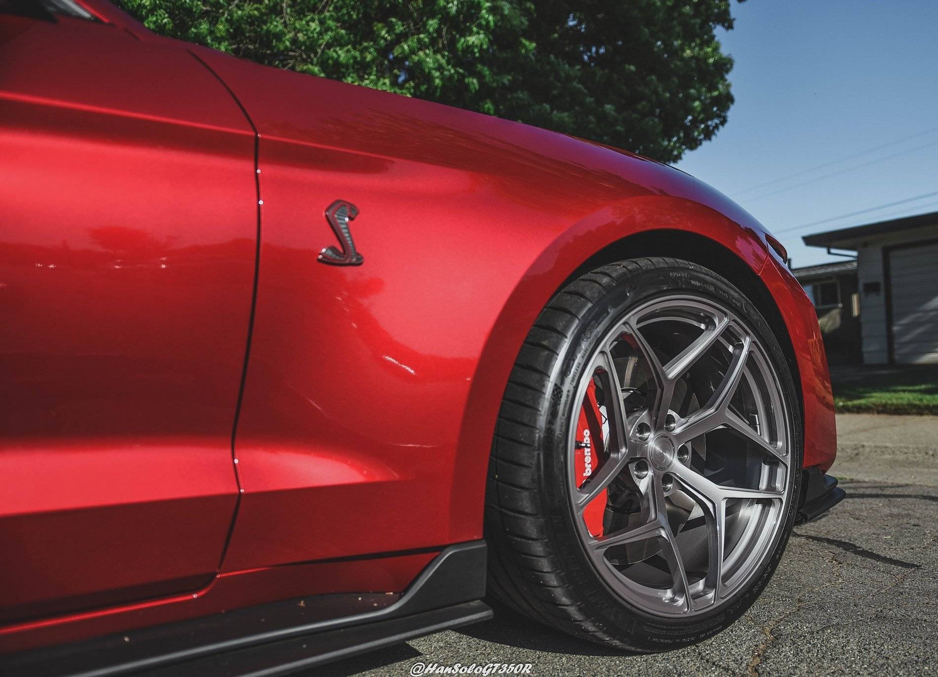 SV107 GT500 Brushed Titanium & Rapid Red (11 of 16).JPG