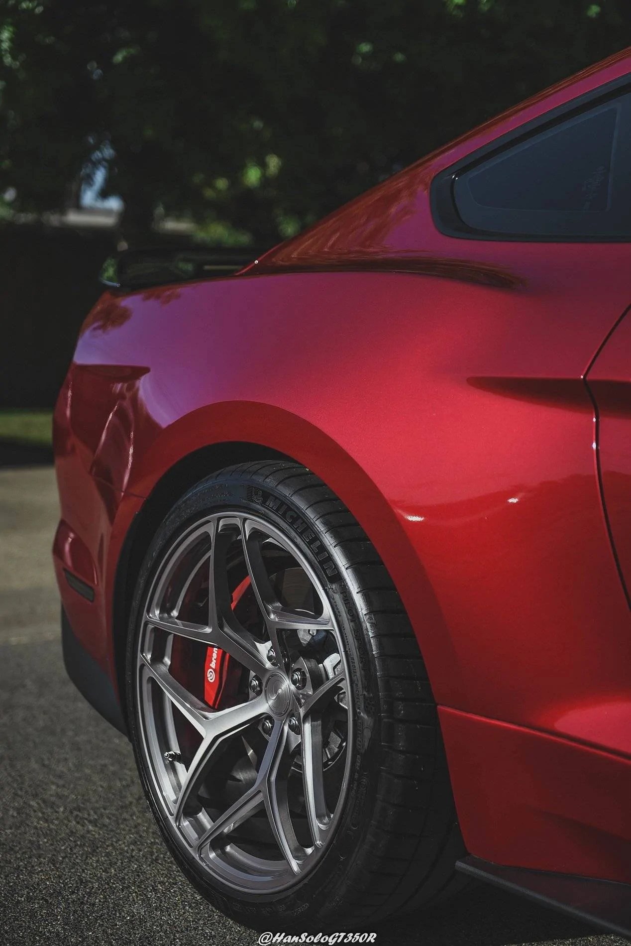 SV107 GT500 Brushed Titanium & Rapid Red (12 of 16).webp