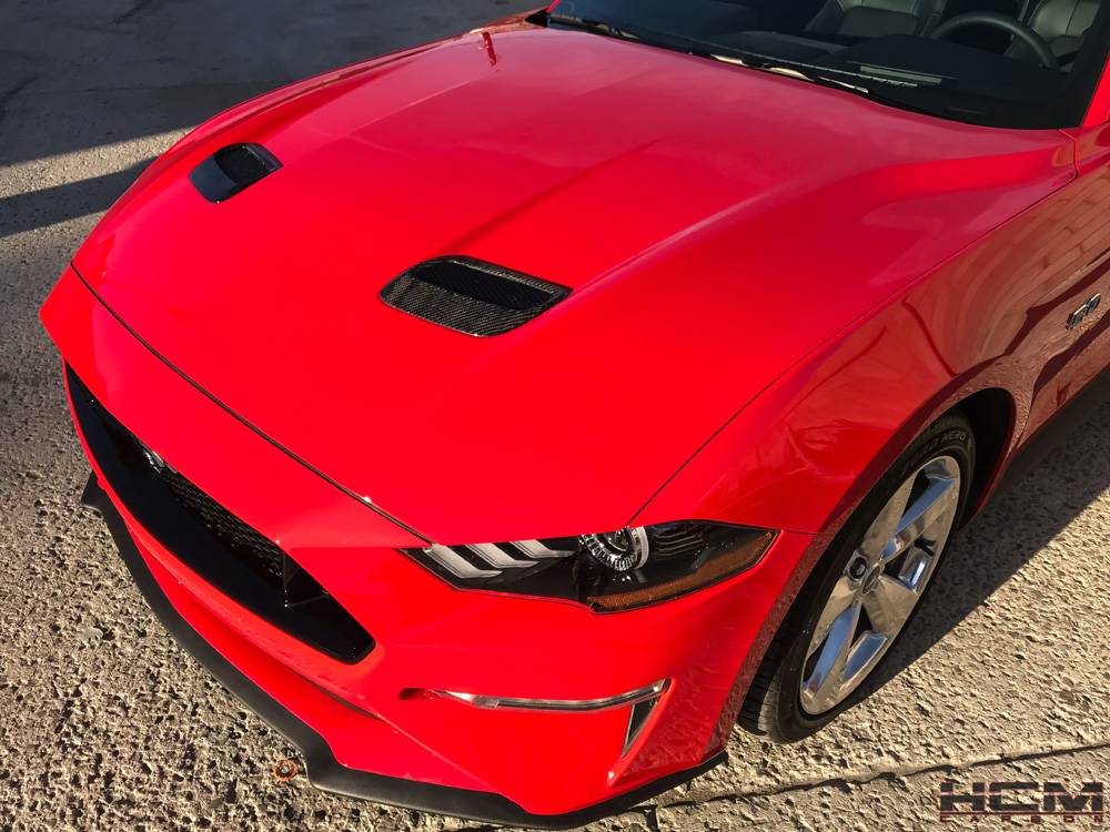 Red Vents.jpg