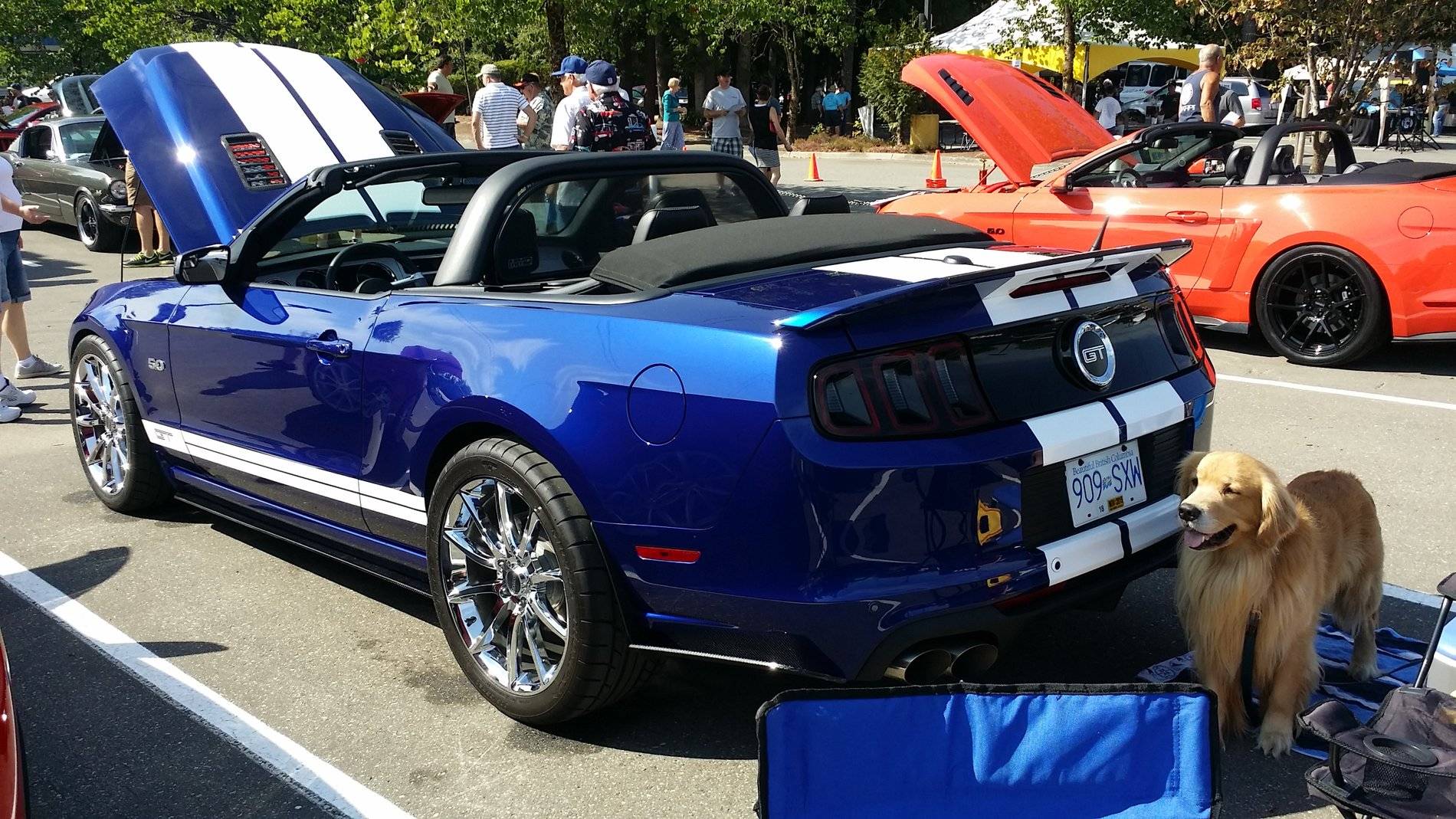 20150823_110633.jpg