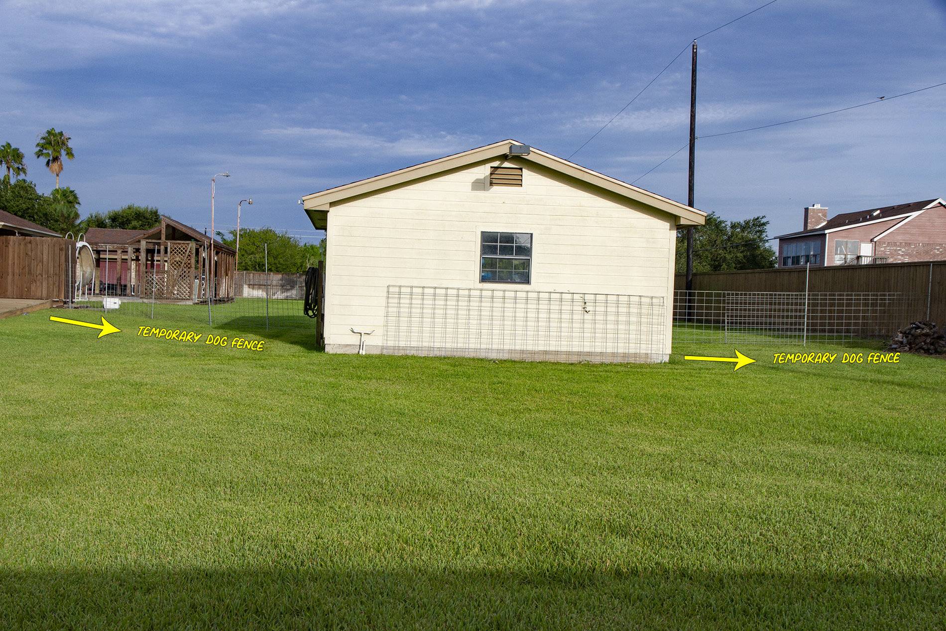 temporary-dog-fence_200726_1920.jpg