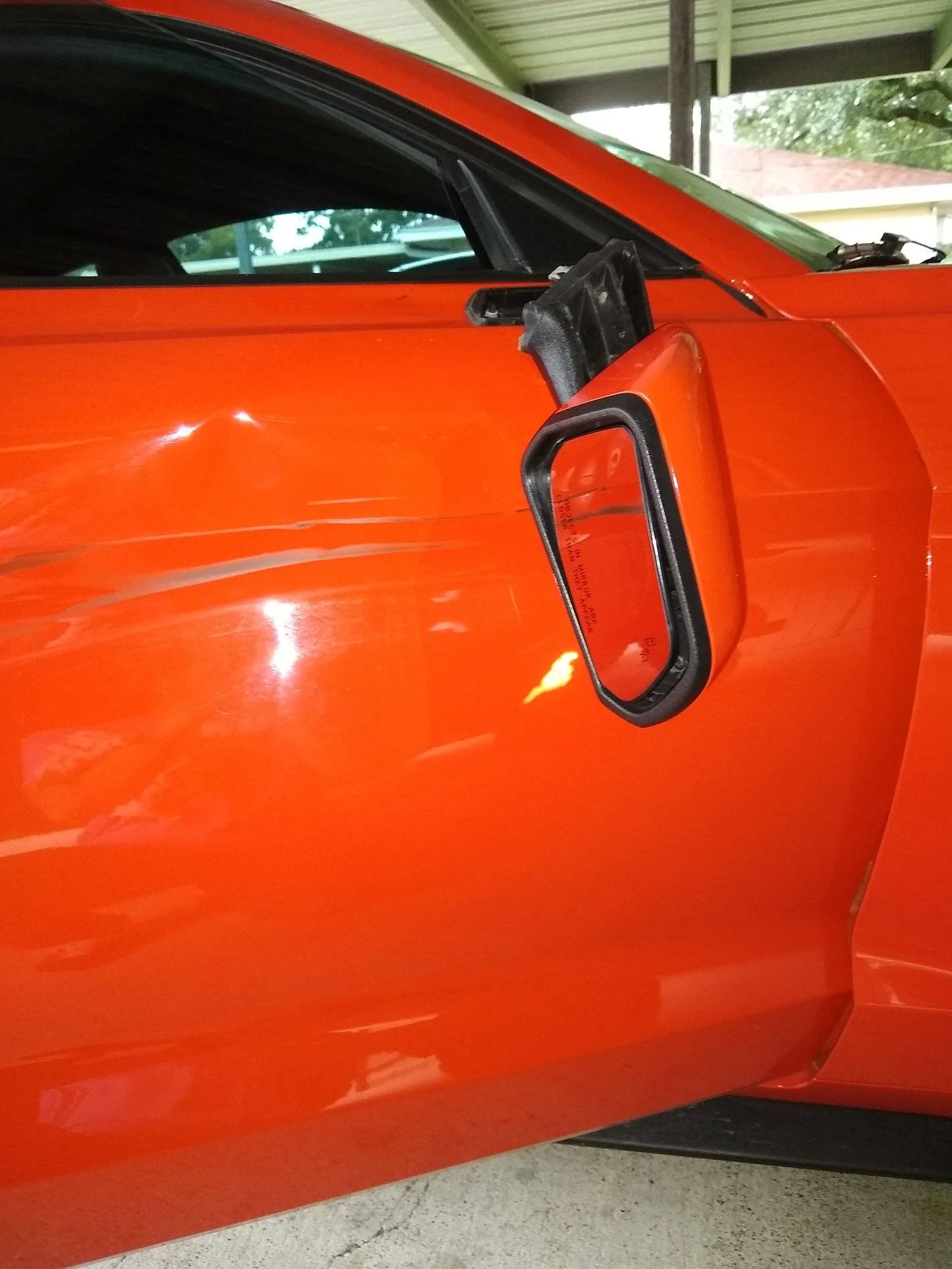 IMG_20200728_110920991[1].webp