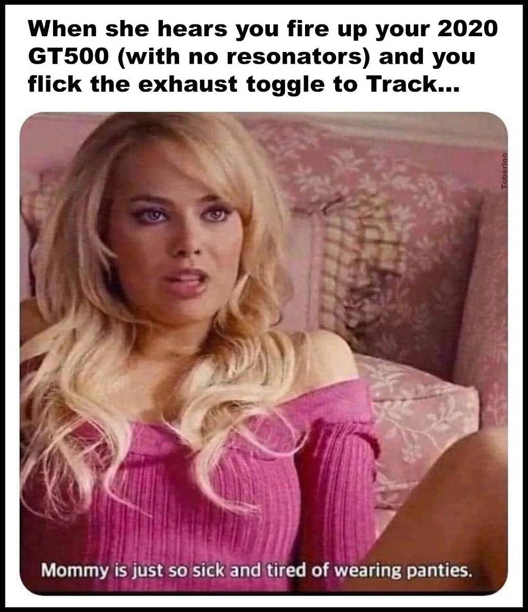 GT500 does it to mommy1-X3.webp