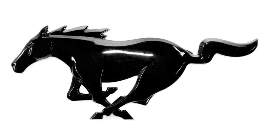 pony.webp