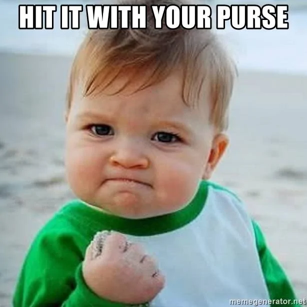hit-it-with-your-purse.webp