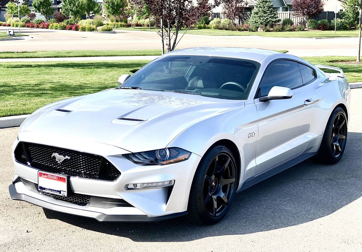 Mustang 1.jpg