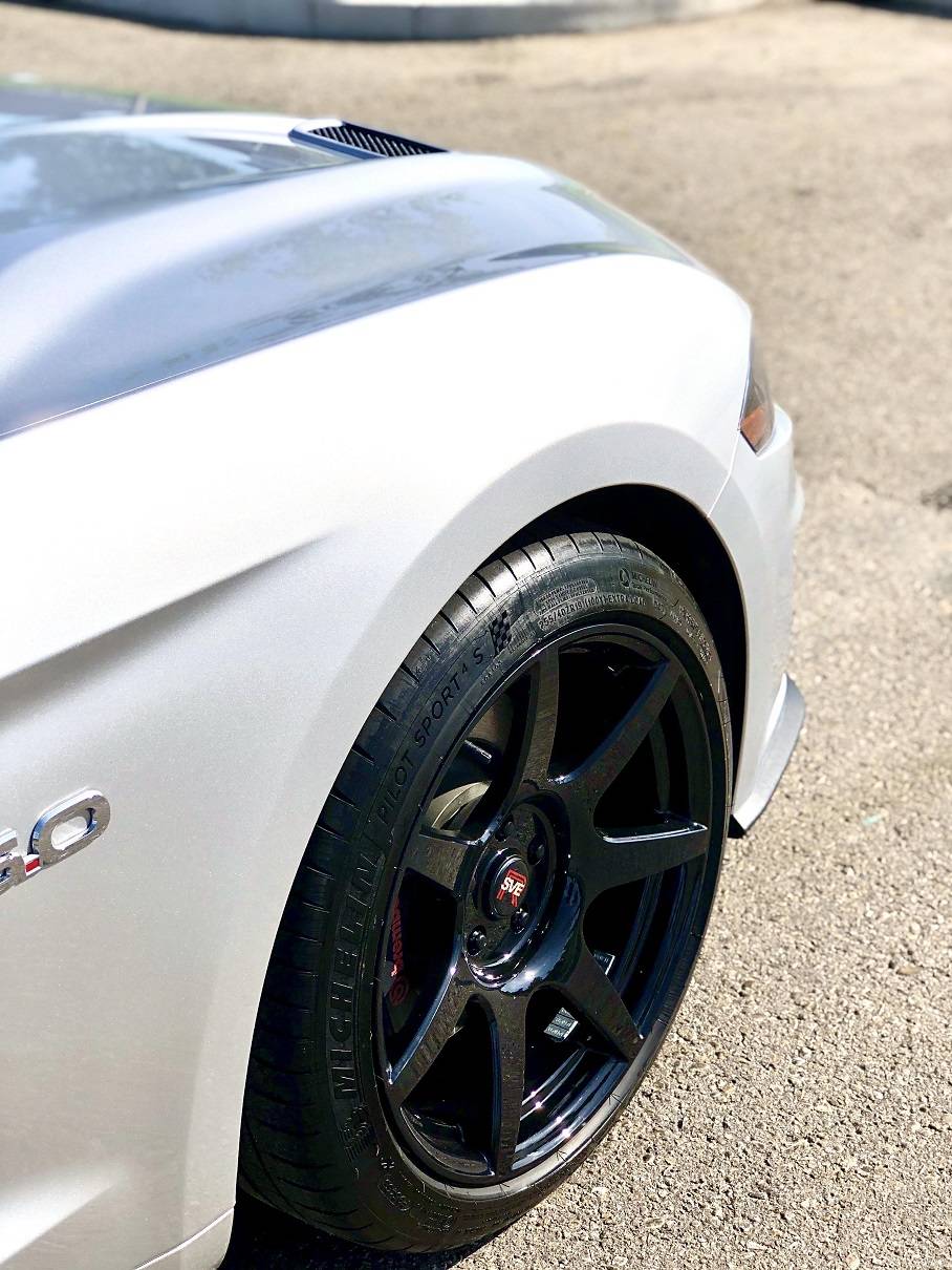 Mustang 2.jpg