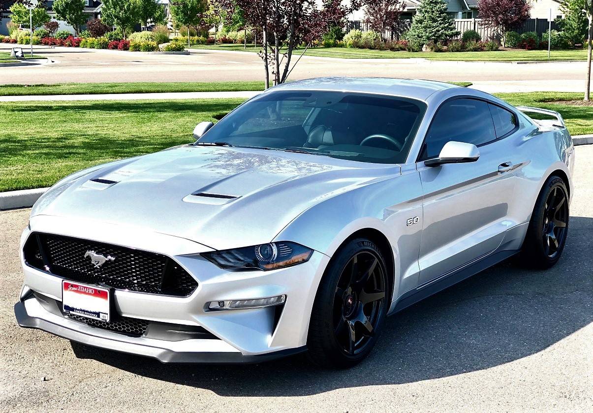 Mustang 1 (2).jpg