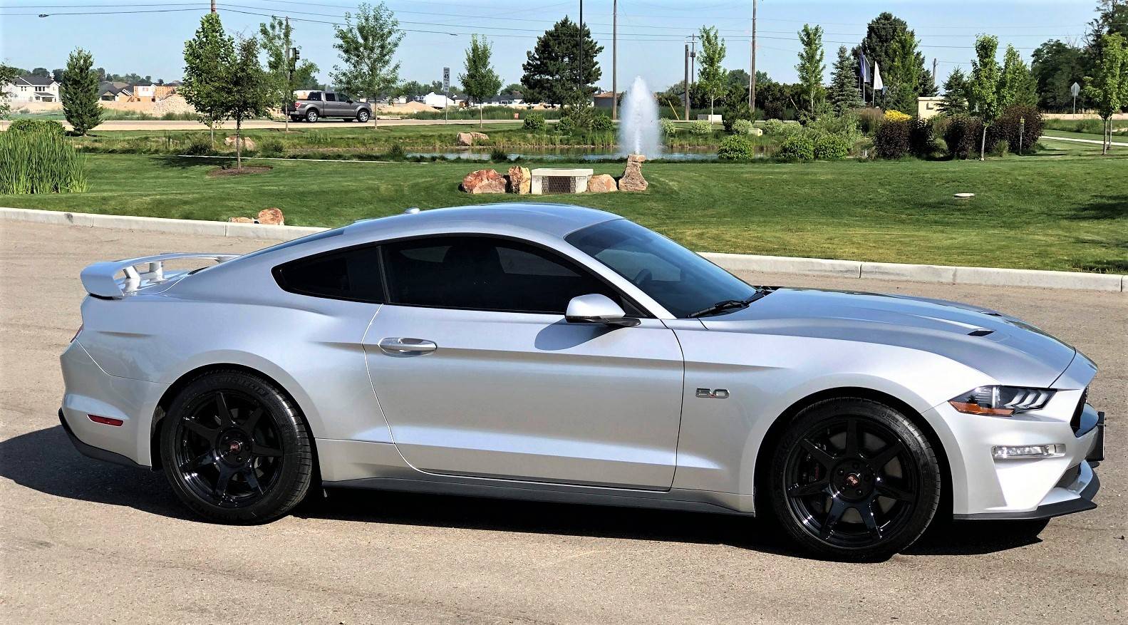 Mustang 4 (2).jpg