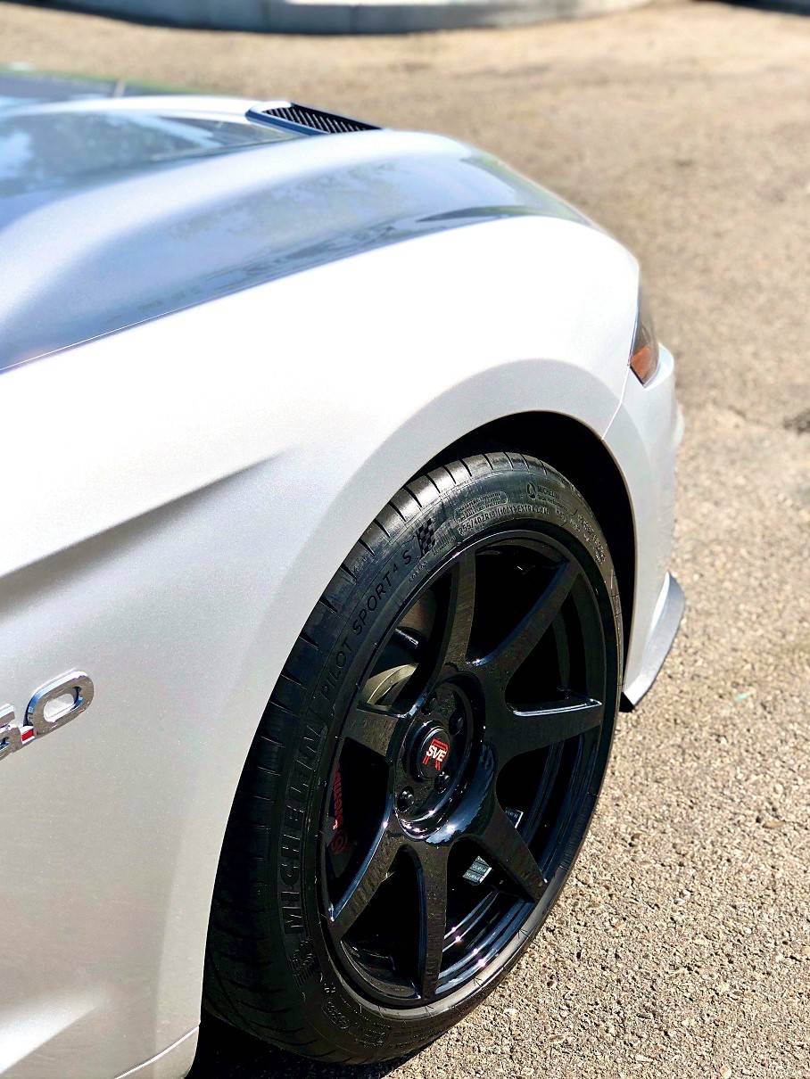 Mustang 2 (2).jpg