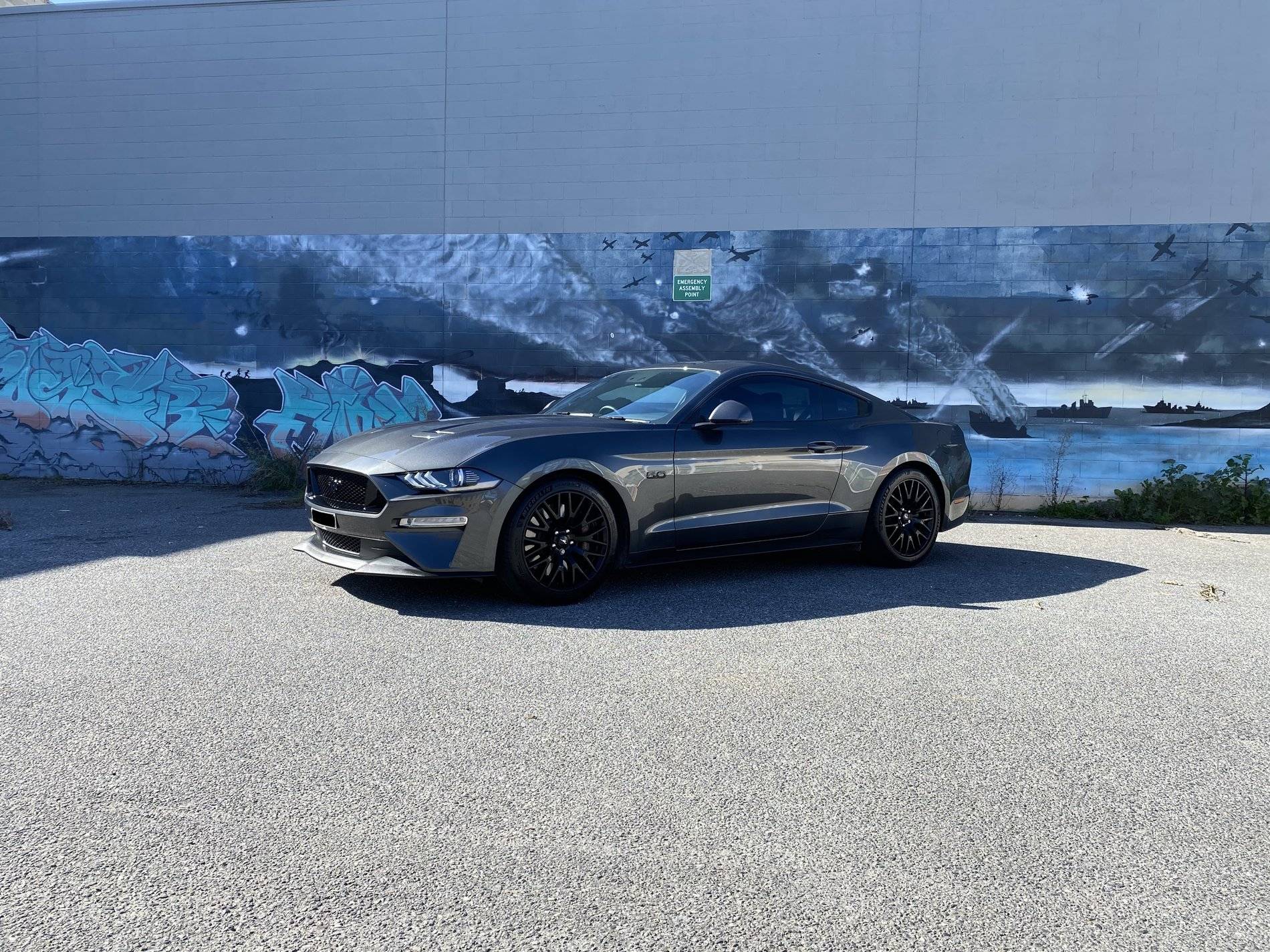 stang5.jpeg