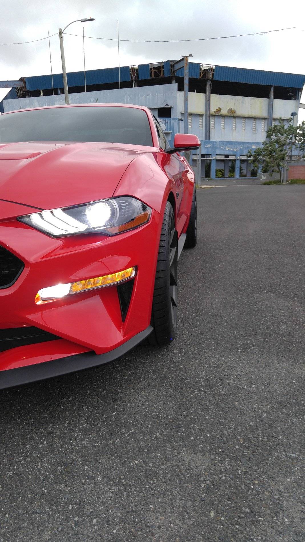 Mustang Flush Fitment.jpg