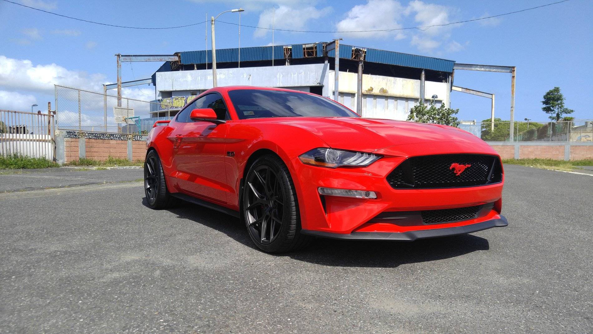 Mustang Flush Fitment 2.jpg
