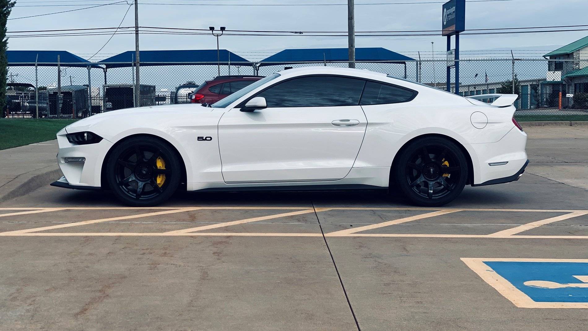 Mustang 7.27.20 .1.jpg