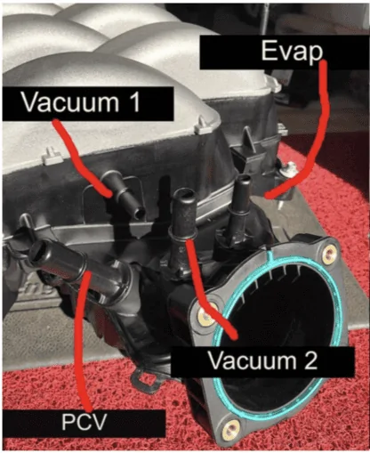 Vacuum Lines.webp