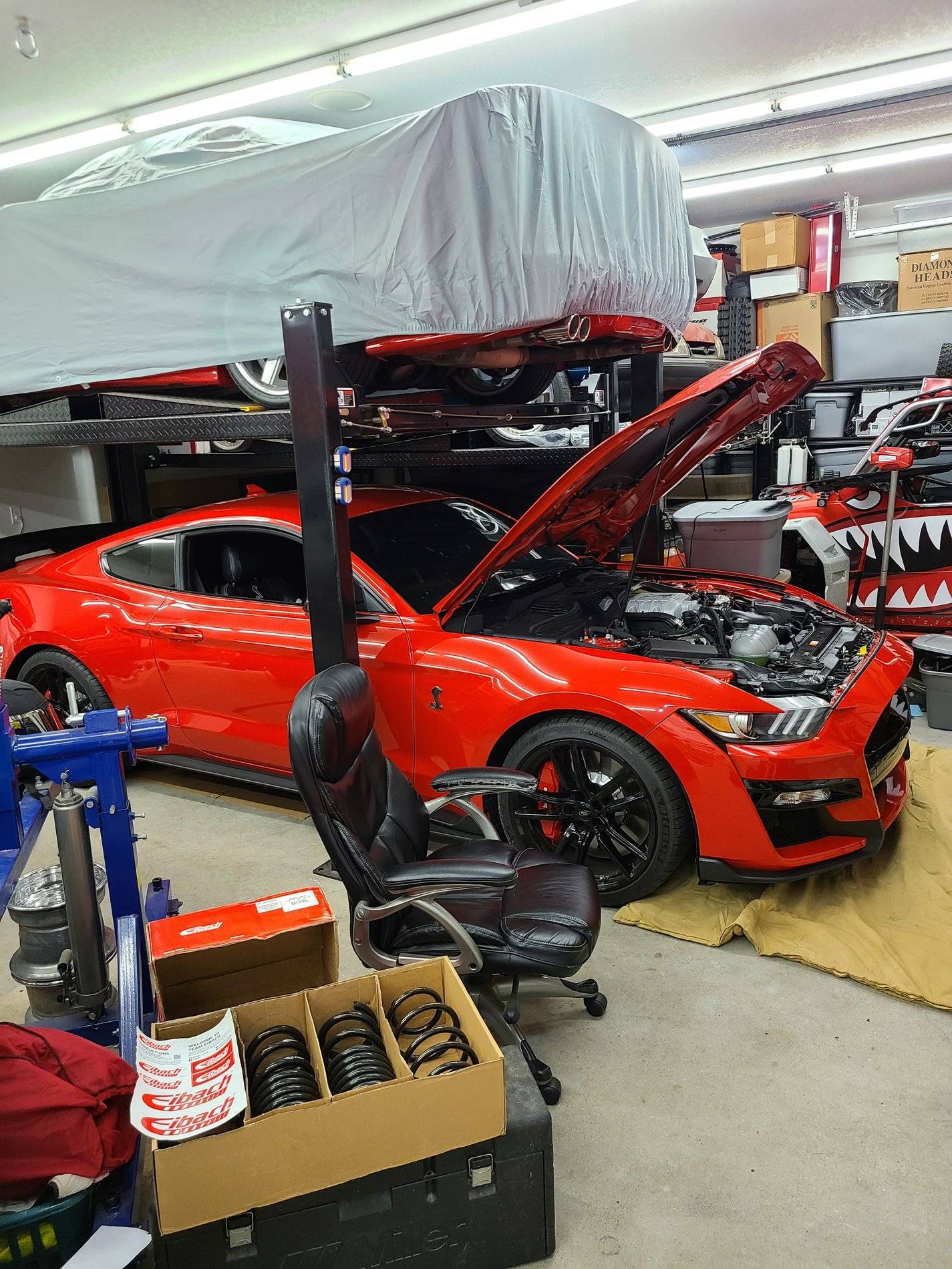 gt500 start.jpg