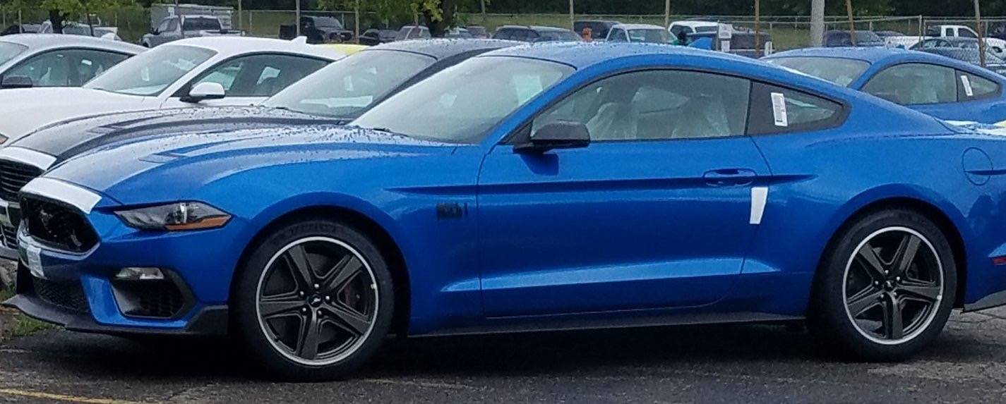 Velocity blue no stripe.JPG