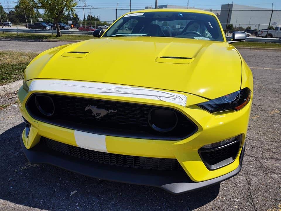 Yellow no stripe 2.JPG