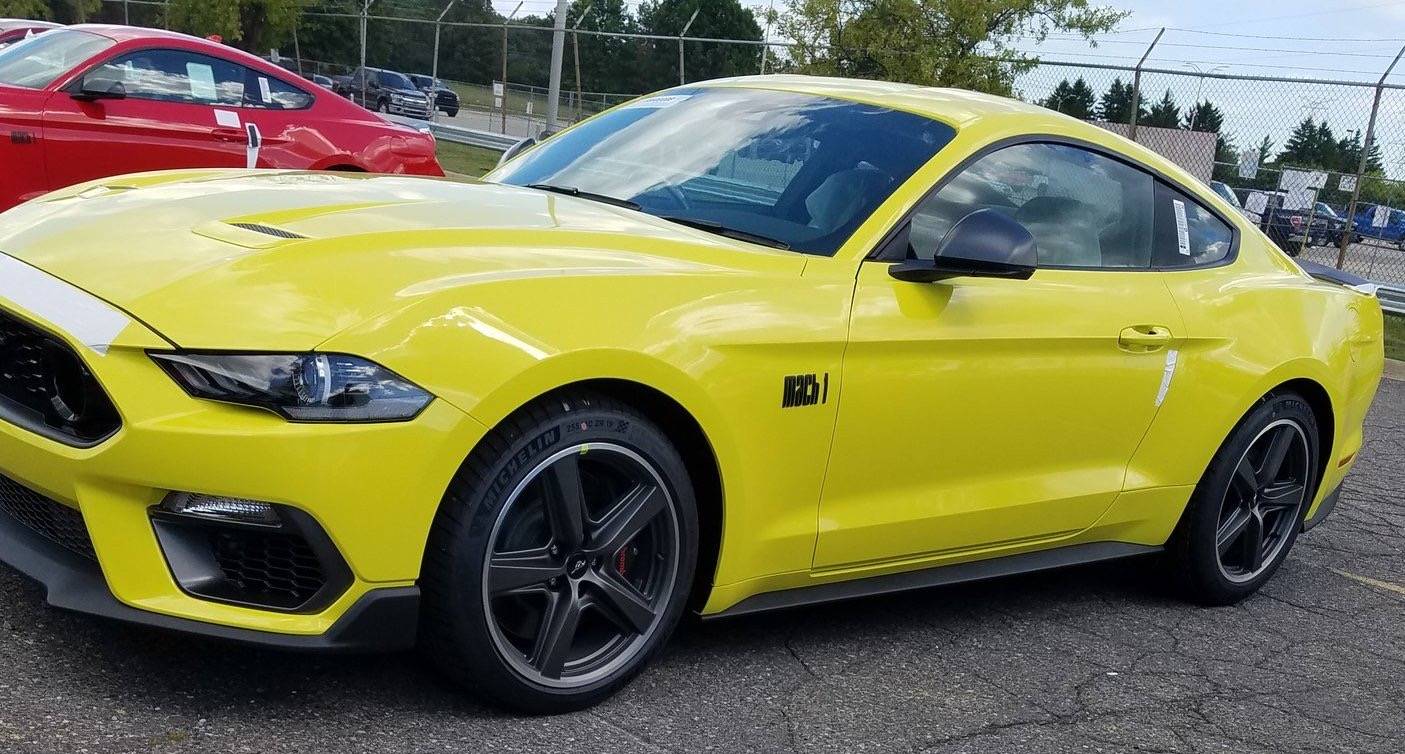 Yellow no stripe.JPG