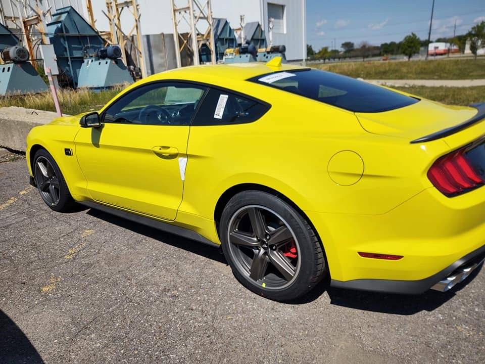 Yellow no stripe1.JPG