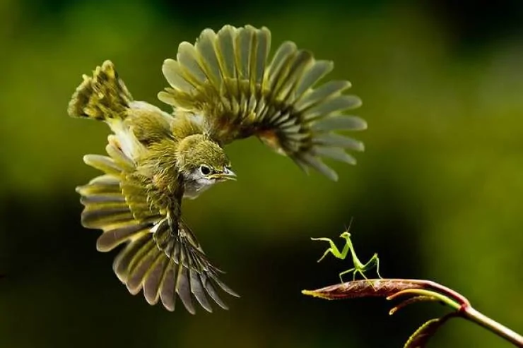you_need_to_see_these_640_02.webp