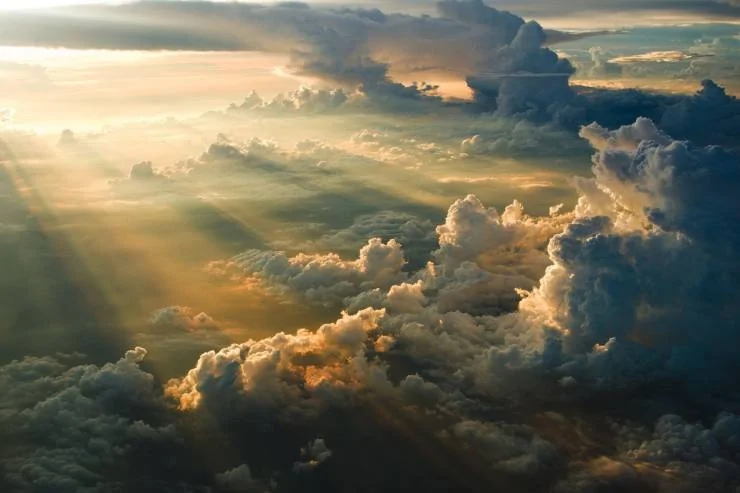 you_need_to_see_these_640_08.webp