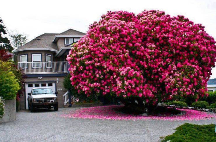 you_need_to_see_these_640_12.jpg