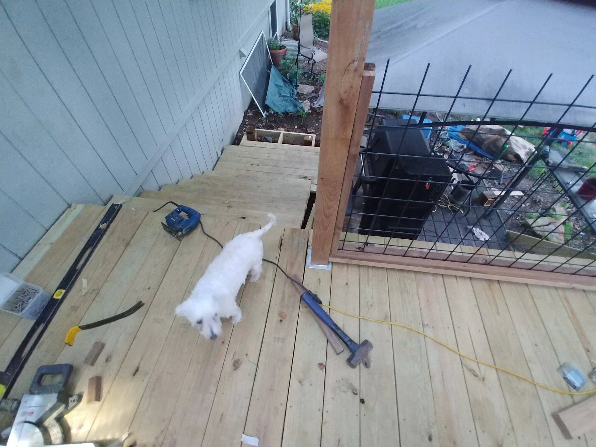20200811_201422.webp