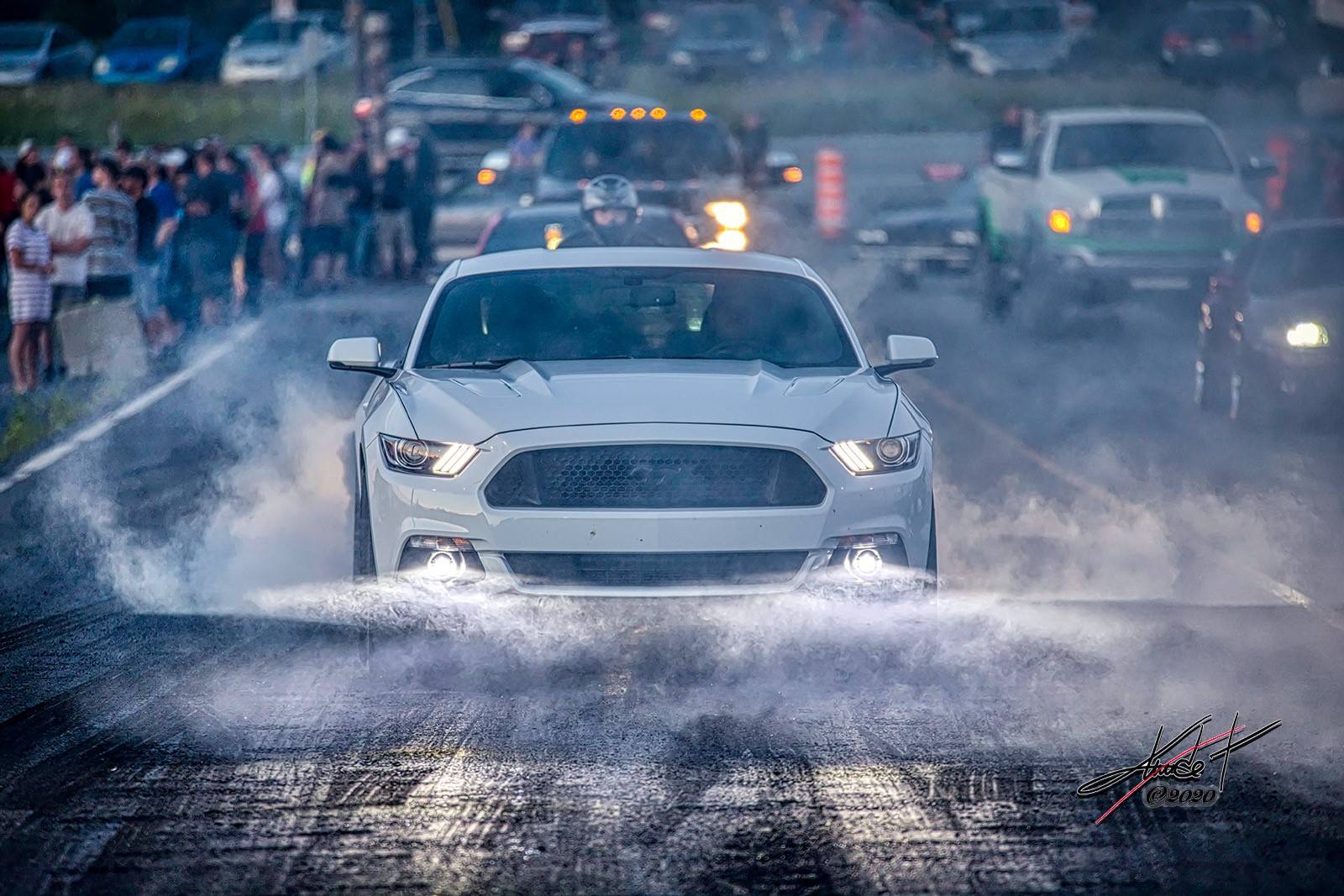 mustang2.jpg