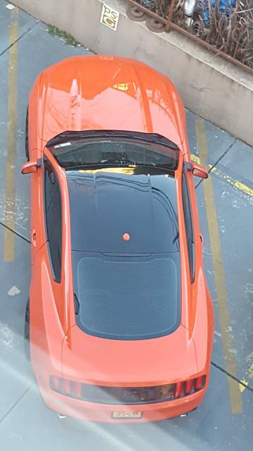 35380219870_6320a9f6fa_z.jpg