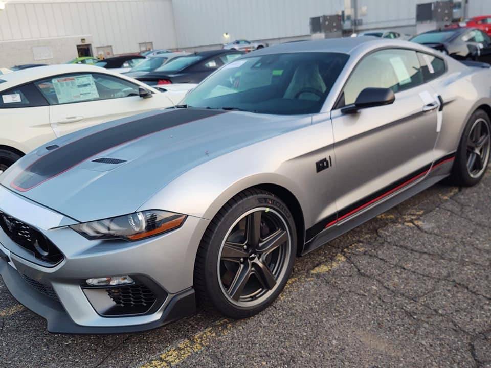 Iconic SIlver red stripe.JPG