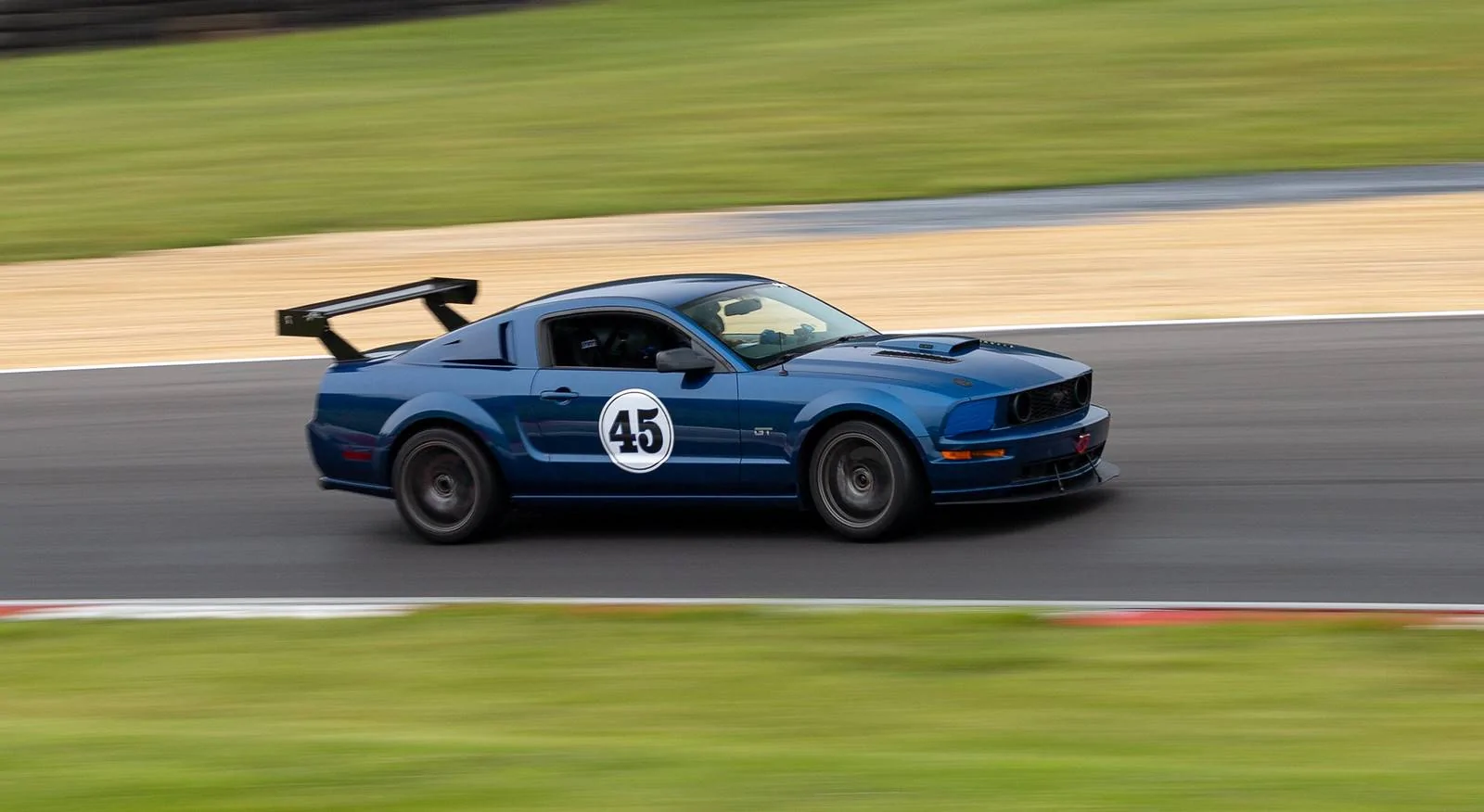 50065681271_d49aa9740d_h.webp