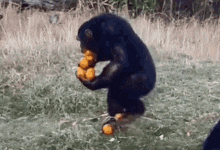 10F79E9A-F24D-4267-AFBD-C218D4012839.gif