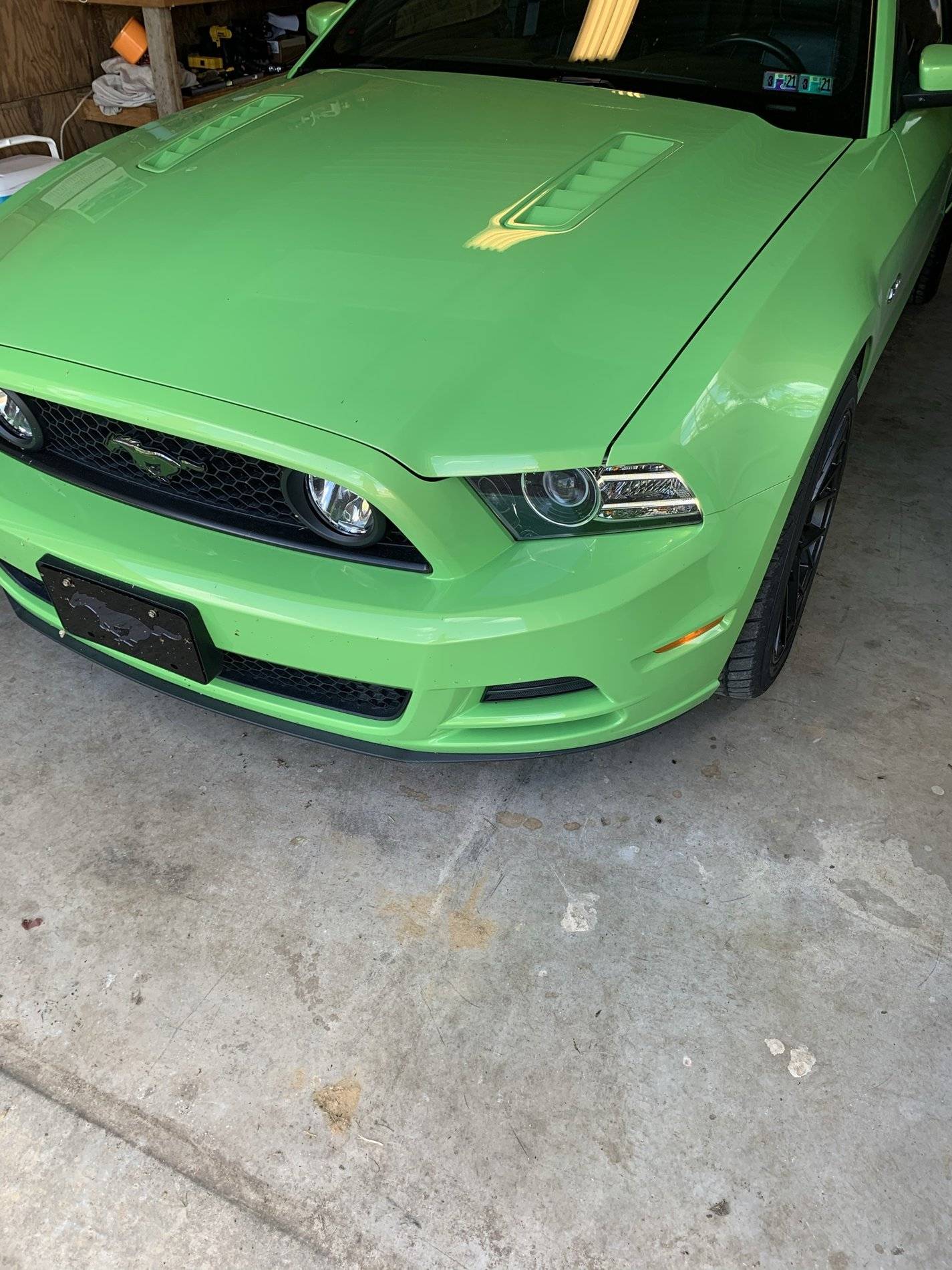 IMG_0256.JPEG
