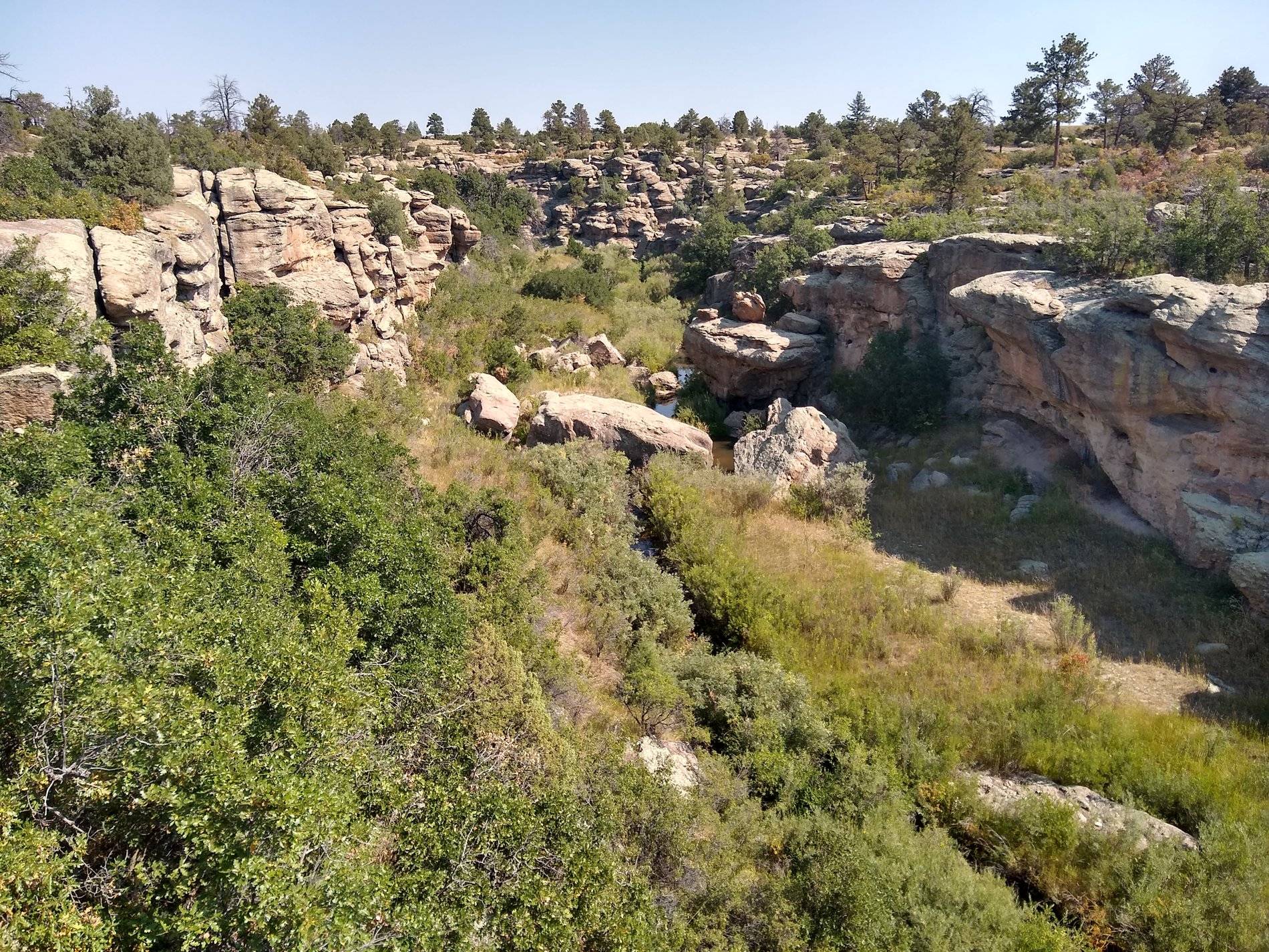 IMG_20200819_103314481_HDR.jpg
