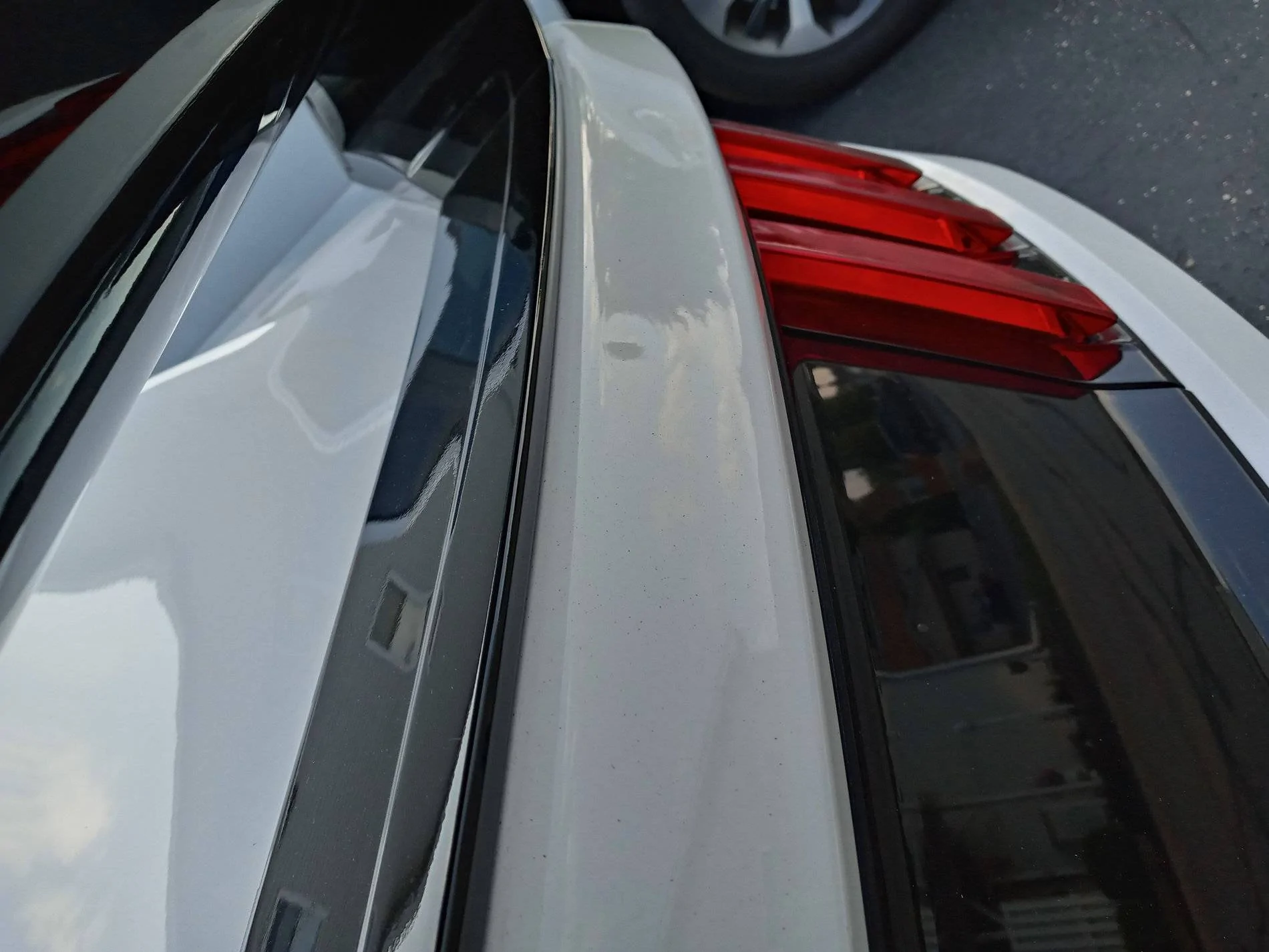 20200808_184104_HDR.webp