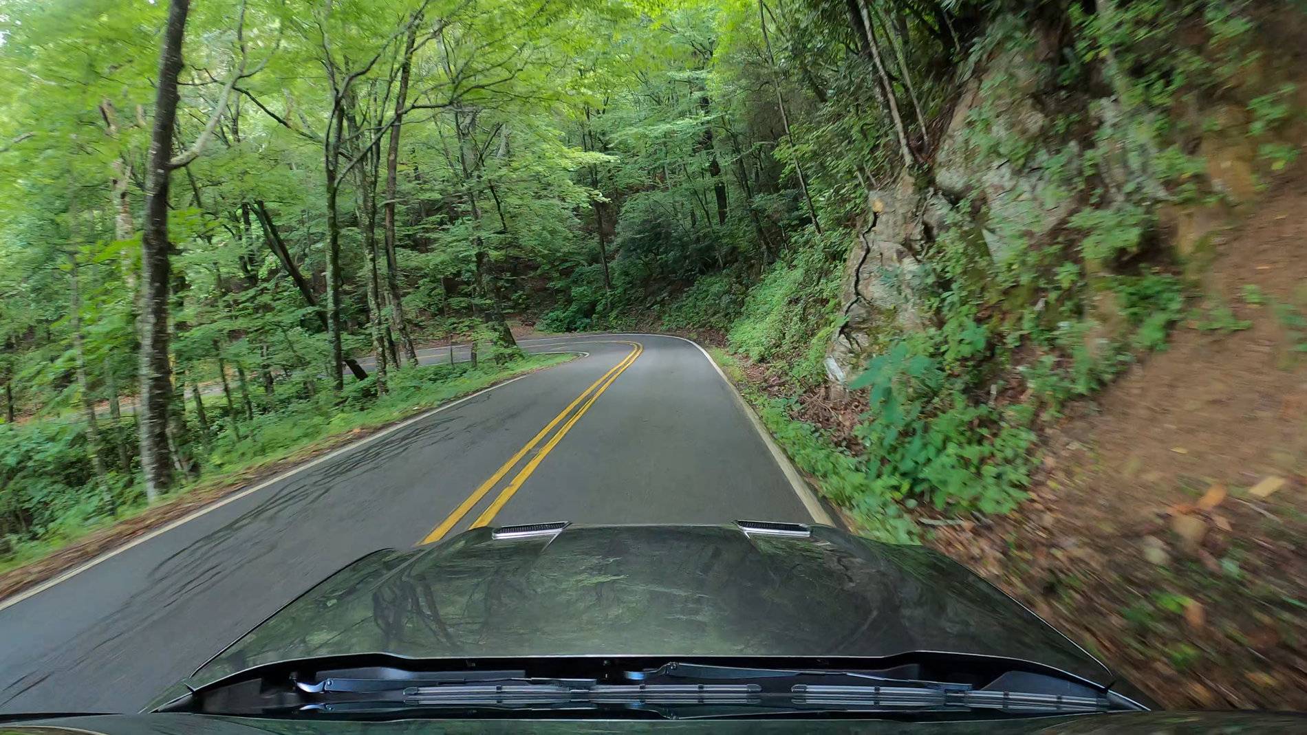 HWY 151 - Downhill 1_1.jpg